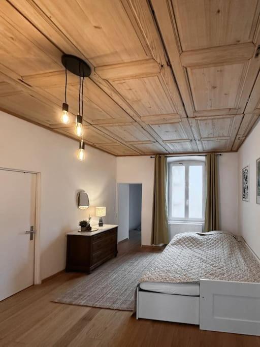 Hypercentre 80M2, A Deux Pas Du Chateau Des Rohan سافيرن المظهر الخارجي الصورة